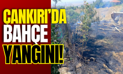 Çankırı’da Bahçe Yangını!