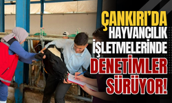 Çankırı’da Hayvancılık İşletmelerinde Denetimler Sürüyor!