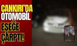 Çankırı’da Otomobil Eşeğe Çarptı!