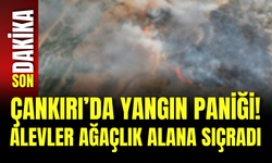 Çankırı’da Yangın Paniği! Alevler Ağaçlık Alana Sıçradı