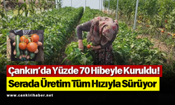 Çankırı’da Yüzde 70 Hibeyle Kuruldu! Serada Üretim Tüm Hızıyla Sürüyor