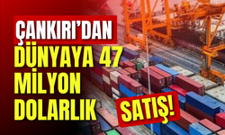 Çankırı’dan dünyaya 47 milyon dolarlık satış!