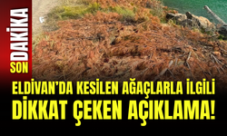 Eldivan’da Kesilen Ağaçlarla İlgili Dikkat Çeken Açıklama!
