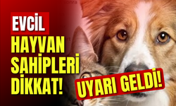 Evcil Hayvan Sahipleri Dikkat! Uyarı Geldi