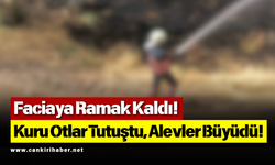 Faciaya Ramak Kaldı! Kuru Otlar Tutuştu, Alevler Büyüdü!