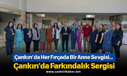 Her Fırçada Bir Anne Sevgisi... Çankırı'da Farkındalık Sergisi