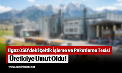 Ilgaz OSB'deki Çeltik İşleme ve Paketleme Tesisi üreticiye umut oldu!