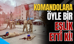 Komandolara Öyle Bir Eşlik Etti Ki!