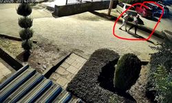 Kucağında Bebeğiyle Saldırıya Uğradı: Kurtarılamadı