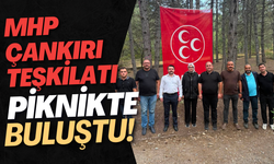 MHP Çankırı Teşkilatı Piknikte Buluştu!