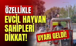 Özellikle Evcil Hayvan Sahipleri Dikkat! Uyarı Geldi