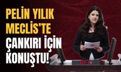 Pelin Yılık Meclis’te Çankırı İçin Konuştu!