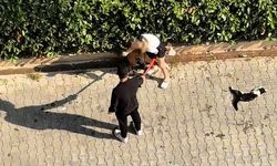 Pitbull Kediyi Parçaladı, Sahibi “Polisi Aramayın” Diye Yalvardı!