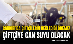 Çankırı’da Çiftçilerin Beklediği Ödeme! Çiftçiye Can Suyu Olacak