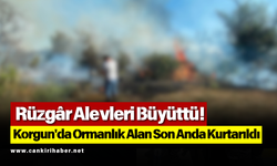Rüzgâr Alevleri Büyüttü! Korgun'da Ormanlık Alan Son Anda Kurtarıldı