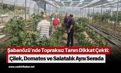Şabanözü’nde Topraksız Tarım Dikkat Çekti: Çilek, Domates ve Salatalık Aynı Serada