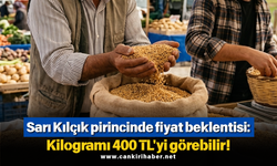 Sarı Kılçık pirincinde fiyat beklentisi: Kilogramı 400 TL'yi görebilir!