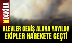 Alevler Geniş Alana Yayıldı! Ekipler Harekete Geçti