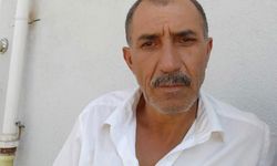 Arı Soktu, 61 Yaşındaki Adam Hayatını Kaybetti!