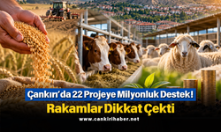Çankırı’da 22 Projeye Milyonluk Destek! Rakamlar Dikkat Çekti