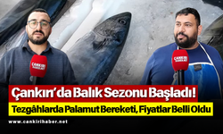 Çankırı’da Balık Sezonu Başladı! Tezgâhlarda Palamut Bereketi, Fiyatlar Belli Oldu