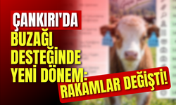 Çankırı'da Buzağı Desteğinde Yeni Dönem: Rakamlar Değişti!
