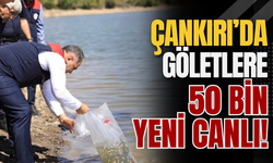 Çankırı’da Göletlere 50 Bin Yeni Canlı!