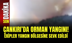 Çankırı’da Orman Yangını! Ekipler Yangın Bölgesine Sevk Edildi