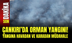 Çankırı’da Orman Yangını! Yangına Havadan ve Karadan Müdahale
