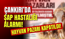 Çankırı’da Şap Hastalığı Alarmı! Hayvan Pazarı Kapatıldı
