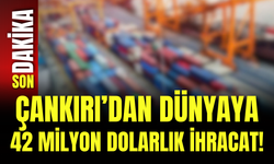 Çankırı’dan Dünyaya 42 Milyon Dolarlık İhracat!