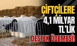 Çiftçilere 4,1 Milyar TL’lik Destek Ödemesi!