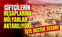 Çiftçilerin Hesaplarına Milyarlar Aktarılıyor! İşte Destek Tutarı