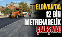 Eldivan’da 12 Bin Metrekarelik Çalışma!