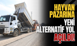 Hayvan Pazarına Yeni Alternatif Yol Açıldı!