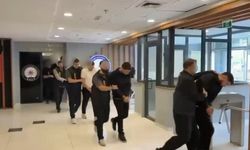 İnternetteki İlanların Ardından Şoke Eden Gerçek Ortaya Çıktı