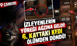 İzleyenlerin Yüreği Ağzına Geldi! 6. Kattaki Kedi Ölümden Döndü!