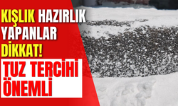 Kışlık Hazırlık Yapanlar Dikkat! Tuz Tercihi Önemli