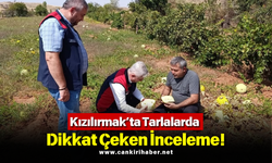 Kızılırmak’ta Tarlalarda Dikkat Çeken İnceleme!