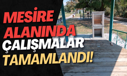 Mesire Alanında Çalışmalar Tamamlandı!