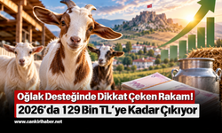 Oğlak Desteğinde Dikkat Çeken Rakam! 2026’da 129 Bin TL’ye Kadar Çıkıyor