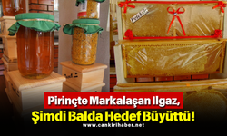 Pirinçte Markalaşan Ilgaz, Şimdi Balda Hedef Büyüttü!