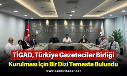 TİGAD, Türkiye Gazeteciler Birliği kurulması için bir dizi temasta bulundu