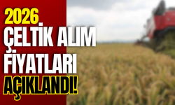 2026 Çeltik Alım Fiyatları Açıklandı!