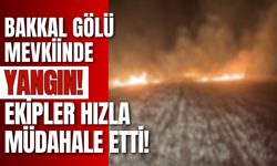 Bakkal Gölü Mevkiinde Yangın! Ekipler Hızla Müdahale Etti!