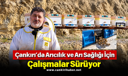 Çankırı’da Arıcılık ve Arı Sağlığı İçin Çalışmalar Sürüyor
