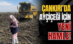 Çankırı’da Ayçiçeği İçin Yeni Hamle!