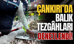 Çankırı’da Balık Tezgâhları Denetlendi!