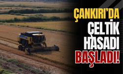 Çankırı’da Çeltik Hasadı Başladı!