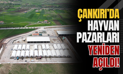Çankırı’da Hayvan Pazarları Yeniden Açıldı!